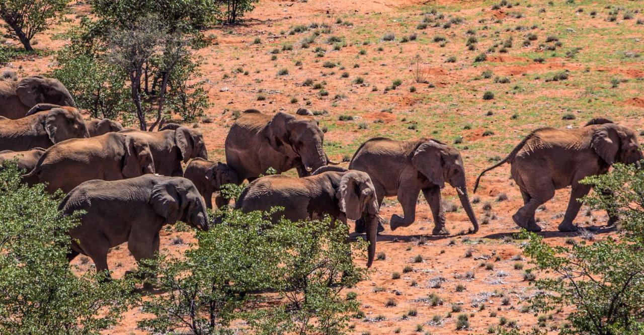 Grootberg Lodge Damaraland Exterior photo