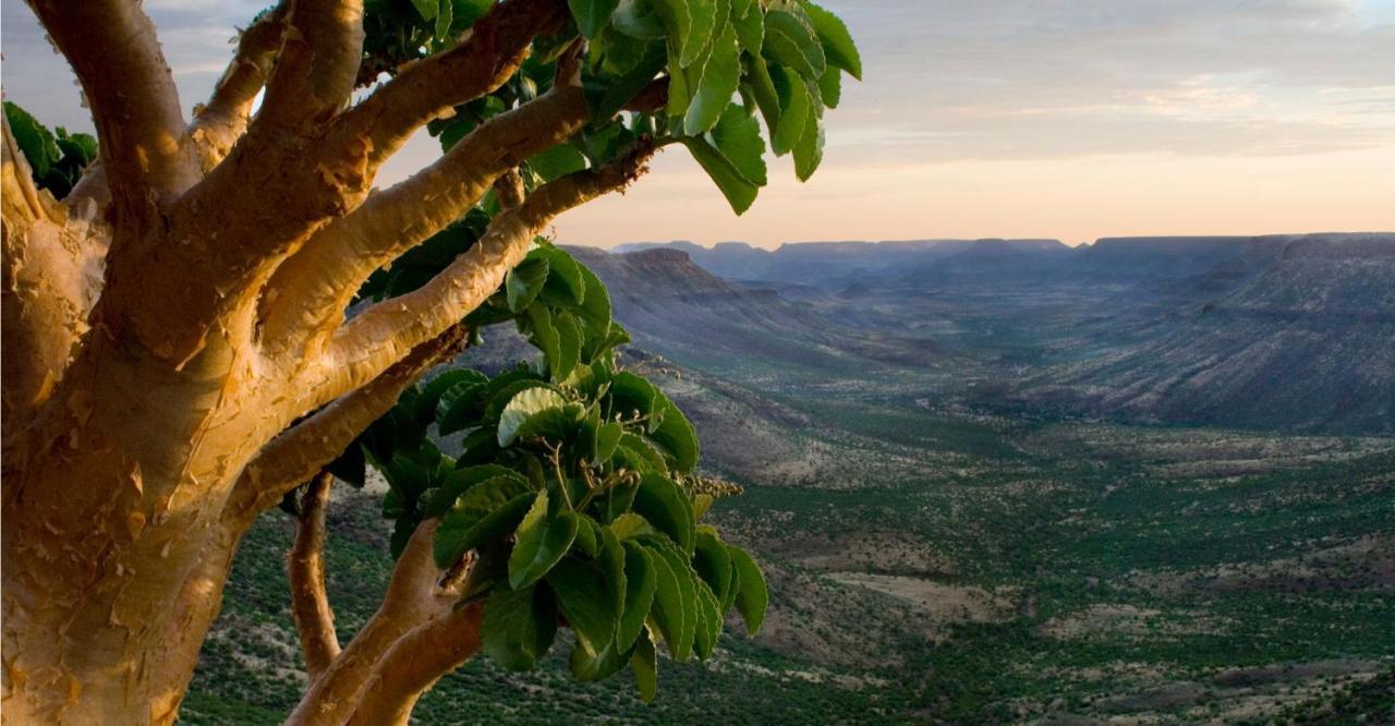 Grootberg Lodge Damaraland Exterior photo