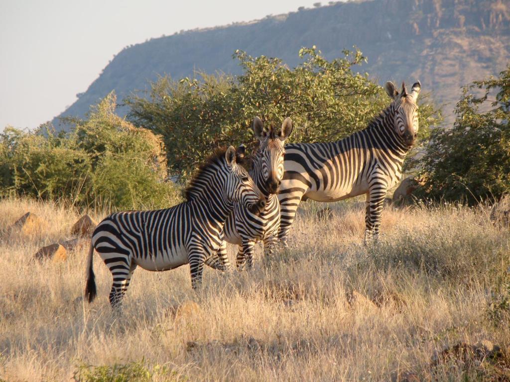 Grootberg Lodge Damaraland Exterior photo
