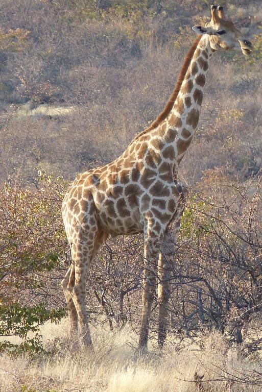 Grootberg Lodge Damaraland Exterior photo