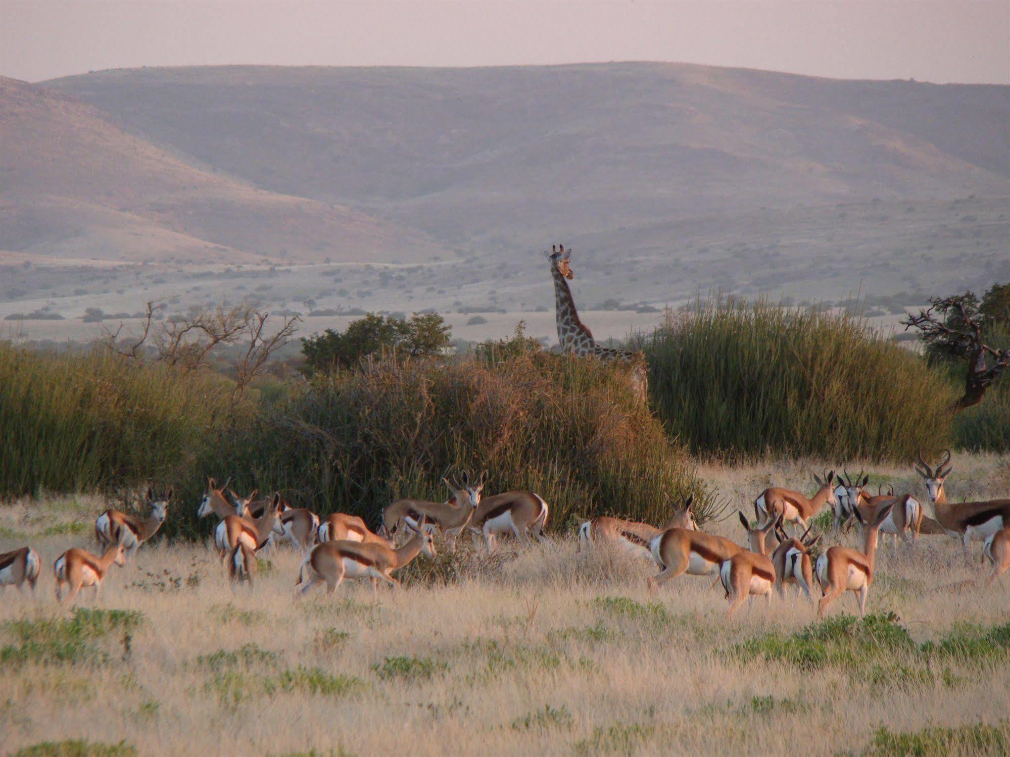 Grootberg Lodge Damaraland Exterior photo