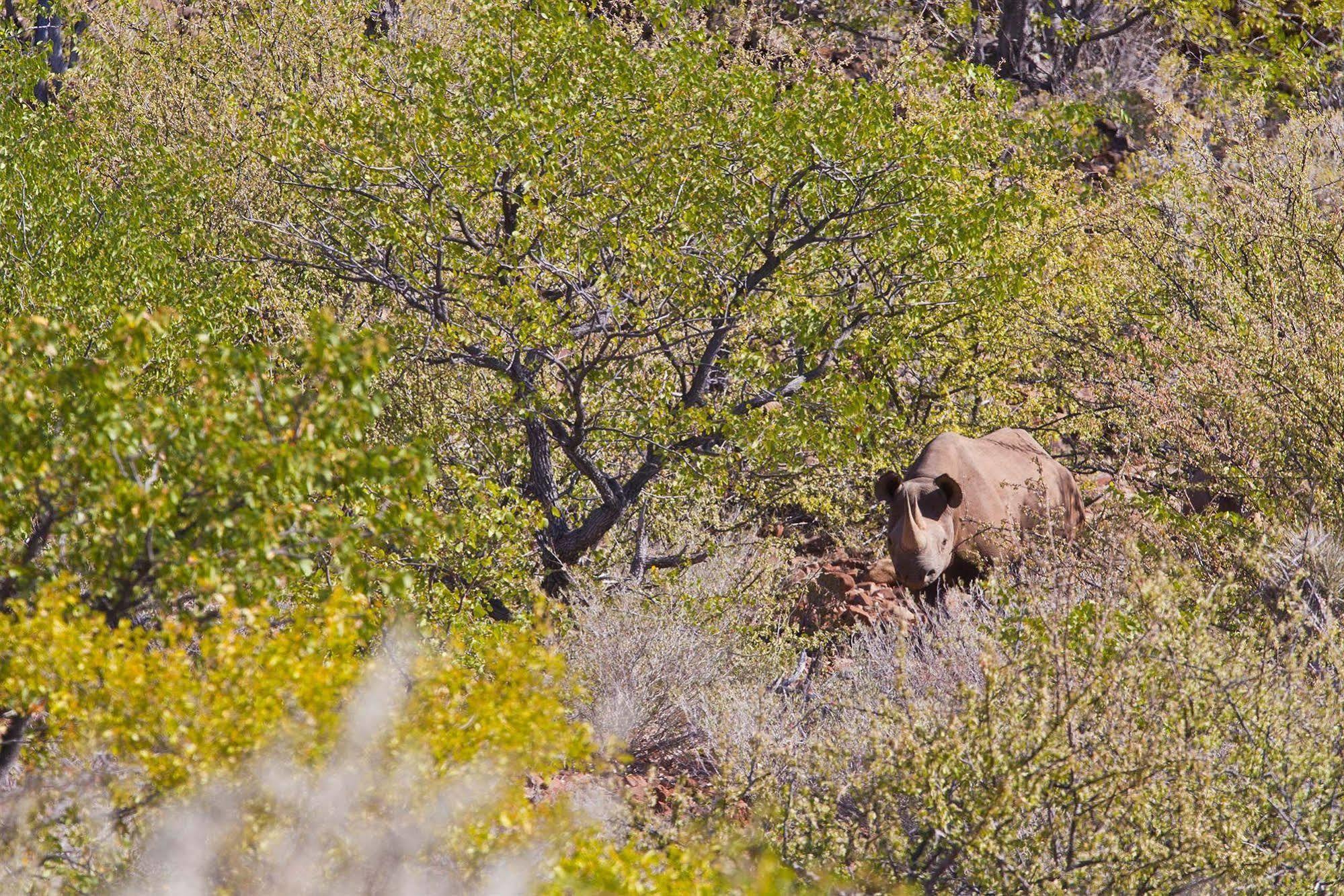 Grootberg Lodge Damaraland Exterior photo