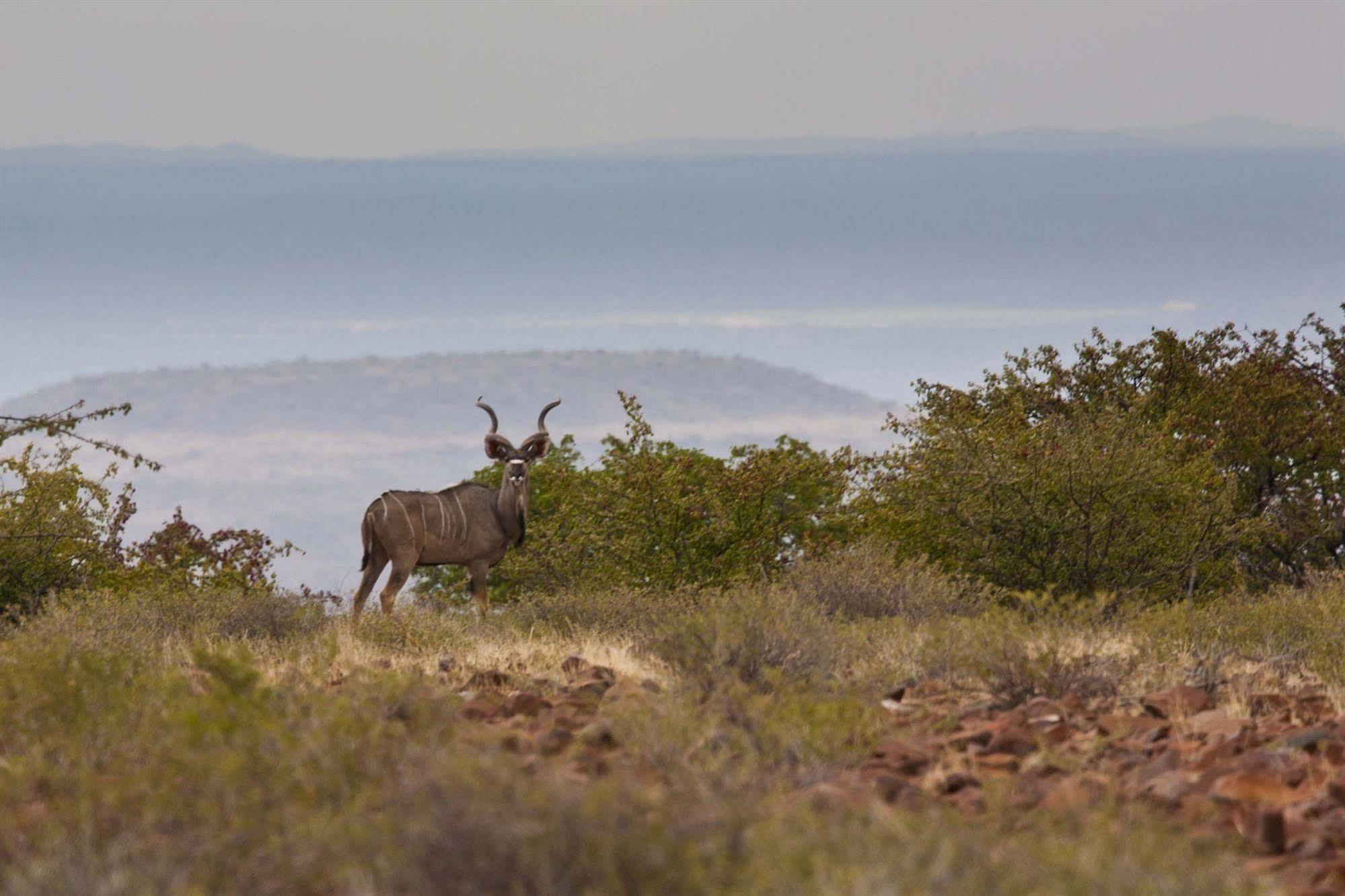 Grootberg Lodge Damaraland Exterior photo